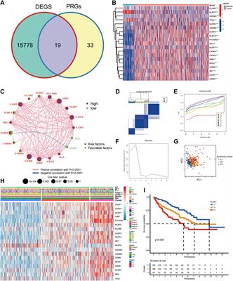 Analysis of Pyroptosis-Related Immune Signatures and Identification of Pyroptosis-Related LncRNA Prognostic Signature in Clear Cell Renal Cell Carcinoma